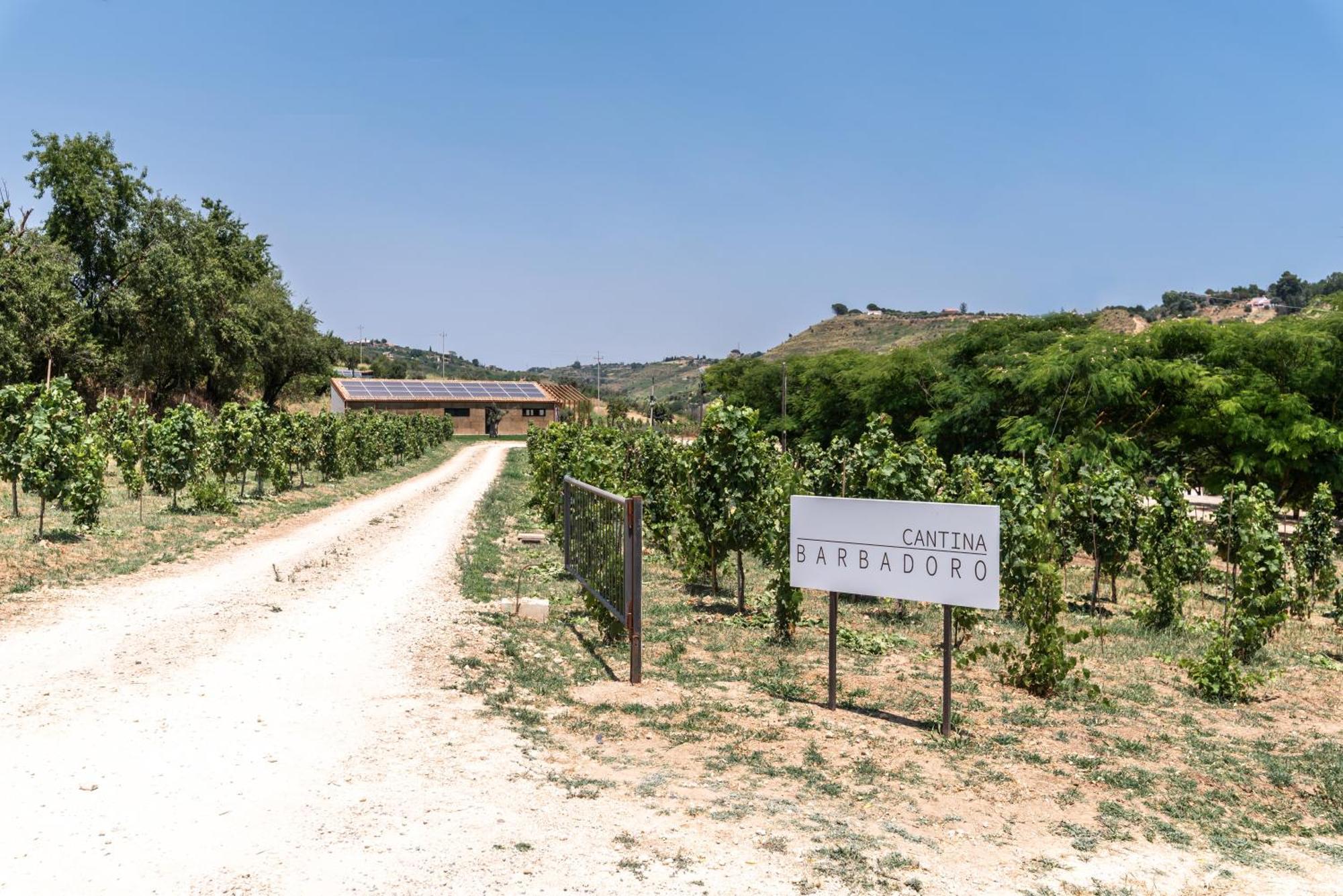 Cottage Immerso Nel Vigneto Caltagirone Dış mekan fotoğraf