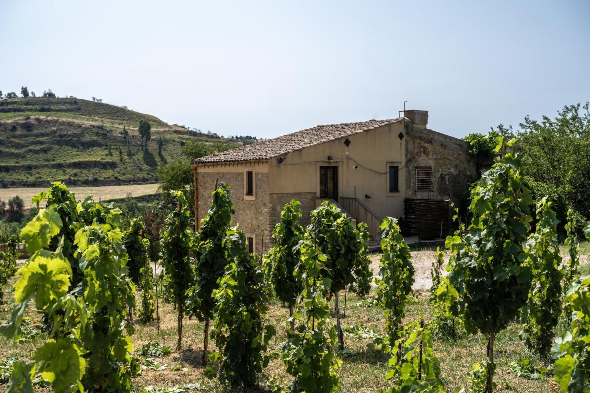 Cottage Immerso Nel Vigneto Caltagirone Dış mekan fotoğraf